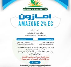 WhatsApp Image 2024-12-04 at 11.15.24 AM (2)