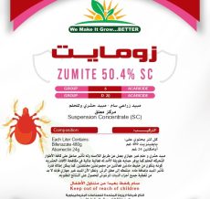 WhatsApp Image 2024-12-04 at 11.15.24 AM