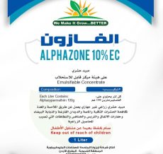 WhatsApp Image 2024-12-04 at 11.15.24 AM (3)