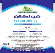 WhatsApp Image 2024-12-04 at 11.15.25 AM