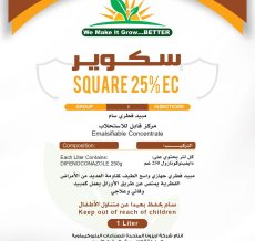 WhatsApp Image 2024-12-04 at 11.43.42 AM (1)