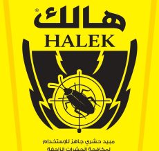 WhatsApp Image 2024-12-04 at 11.43.42 AM (2)