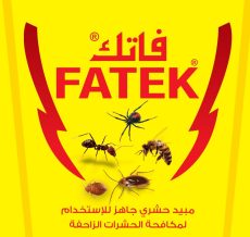 WhatsApp Image 2024-12-04 at 11.43.42 AM