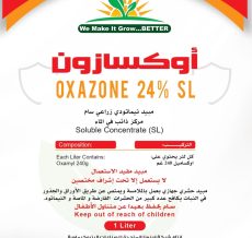 WhatsApp Image 2024-12-04 at 12.12.29 PM