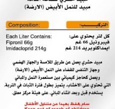 WhatsApp Image 2024-12-04 at 12.12.30 PM (1)