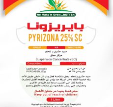 WhatsApp Image 2024-12-04 at 12.12.30 PM (2)