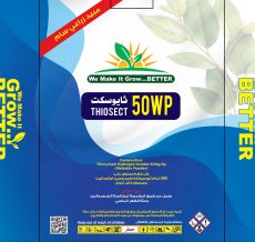 WhatsApp Image 2024-12-04 at 12.12.30 PM