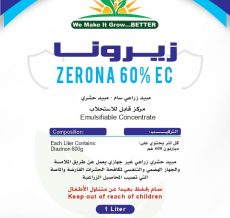 WhatsApp Image 2024-12-04 at 12.17.58 PM